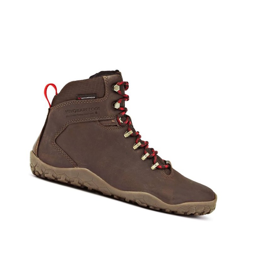 Botas Montaña Vivobarefoot Tracker Firm Ground Hombre Marrom Oscuro | 513609WCX