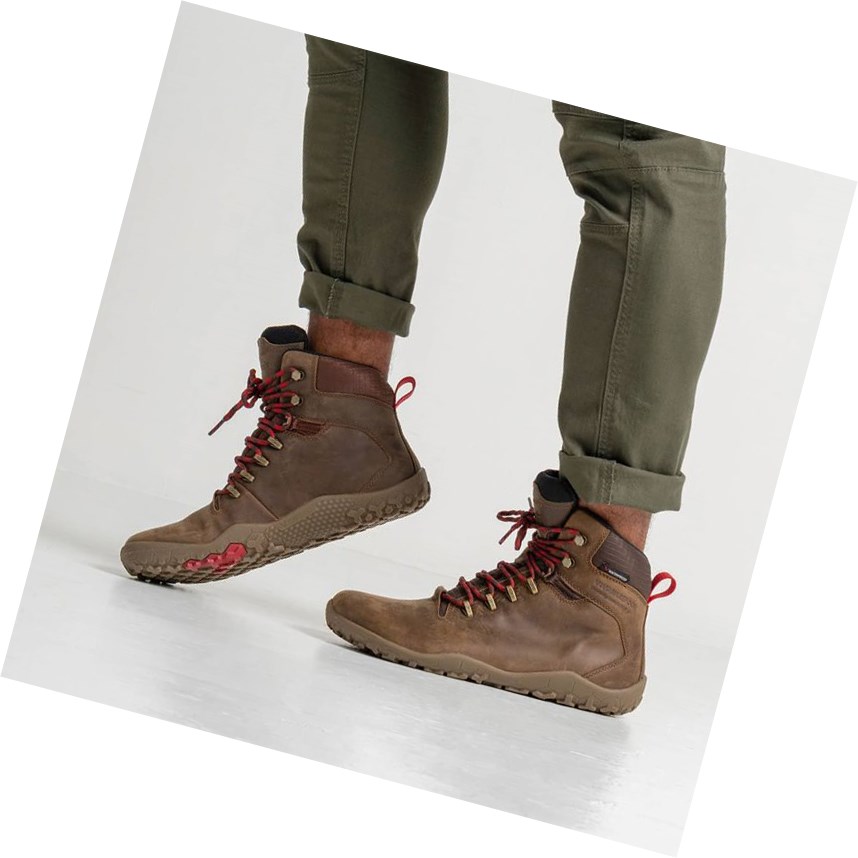 Botas Montaña Vivobarefoot Tracker Firm Ground Hombre Marrom Oscuro | 513609WCX