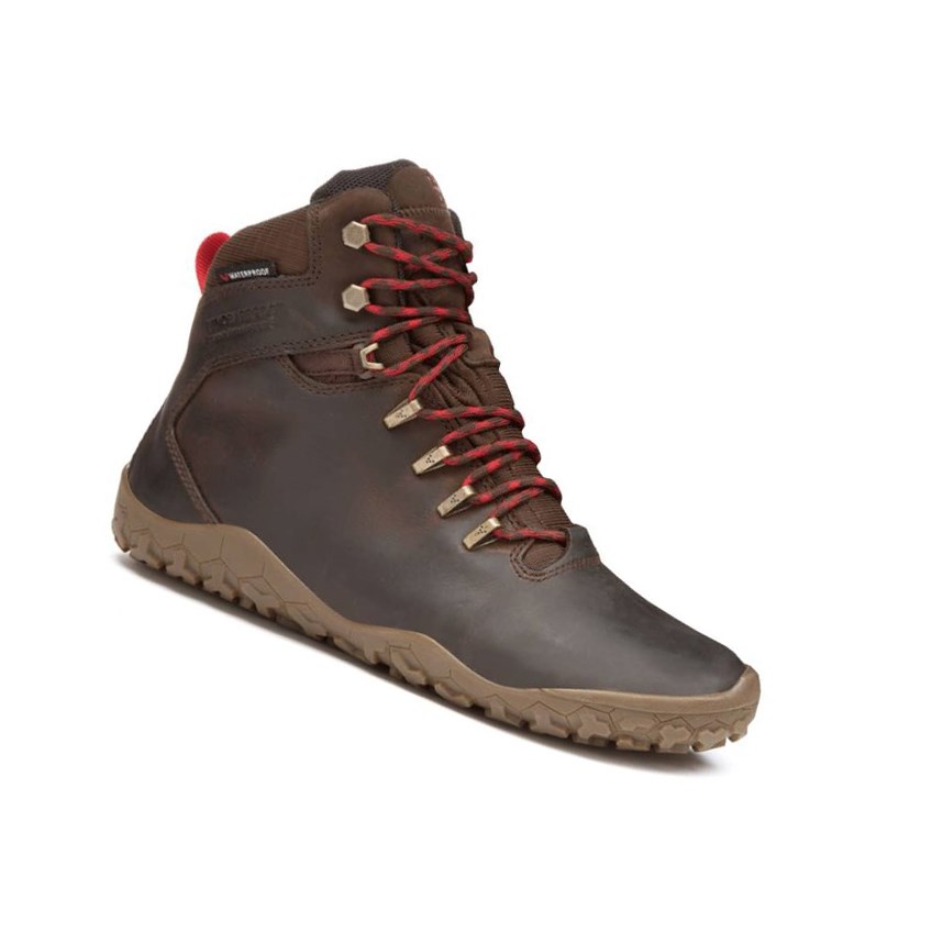 Botas Montaña Vivobarefoot Tracker Firm Ground Hombre Marrom Oscuro | 513609WCX