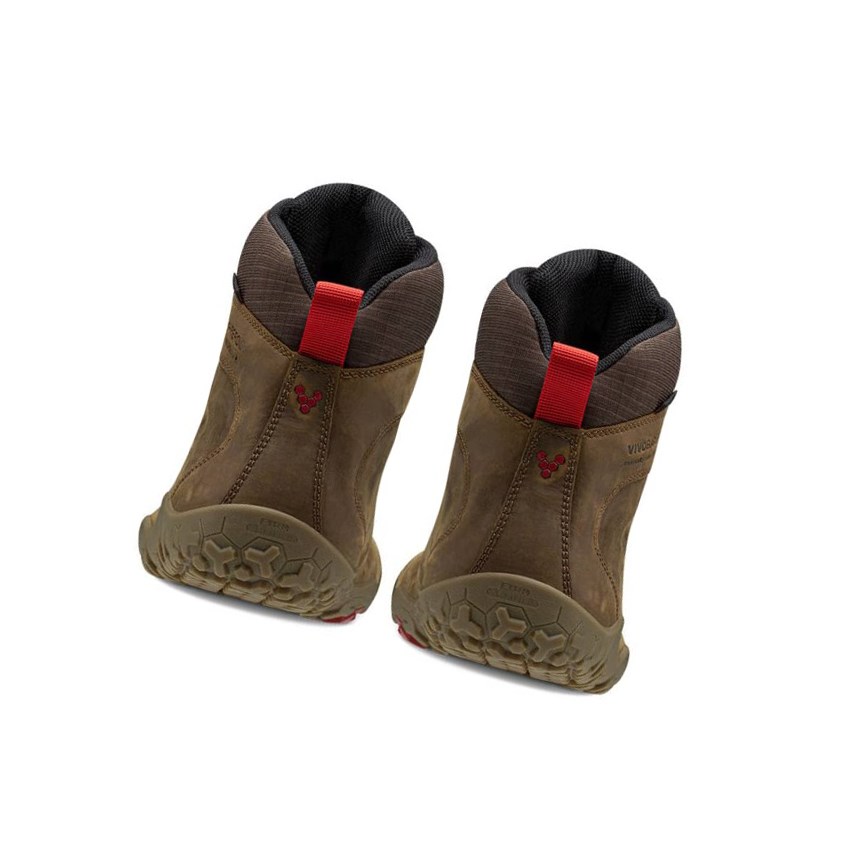 Botas Montaña Vivobarefoot Tracker Firm Ground Mujer Marrom Oscuro | 640879HKG