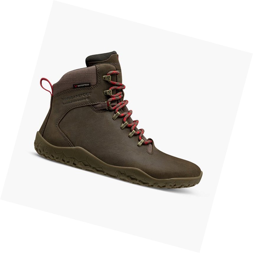 Botas Montaña Vivobarefoot Tracker II Fg Mujer Marrom Oscuro | 394520DIC