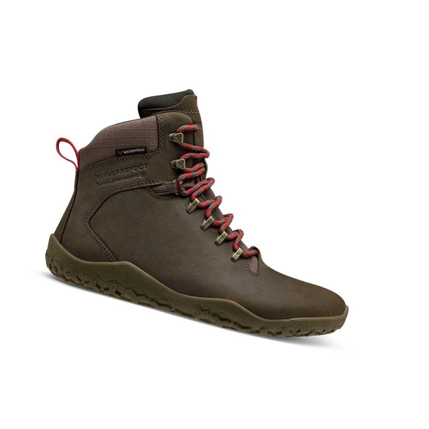 Botas Montaña Vivobarefoot Tracker II Firm Ground Hombre Marrom | 189306WAM