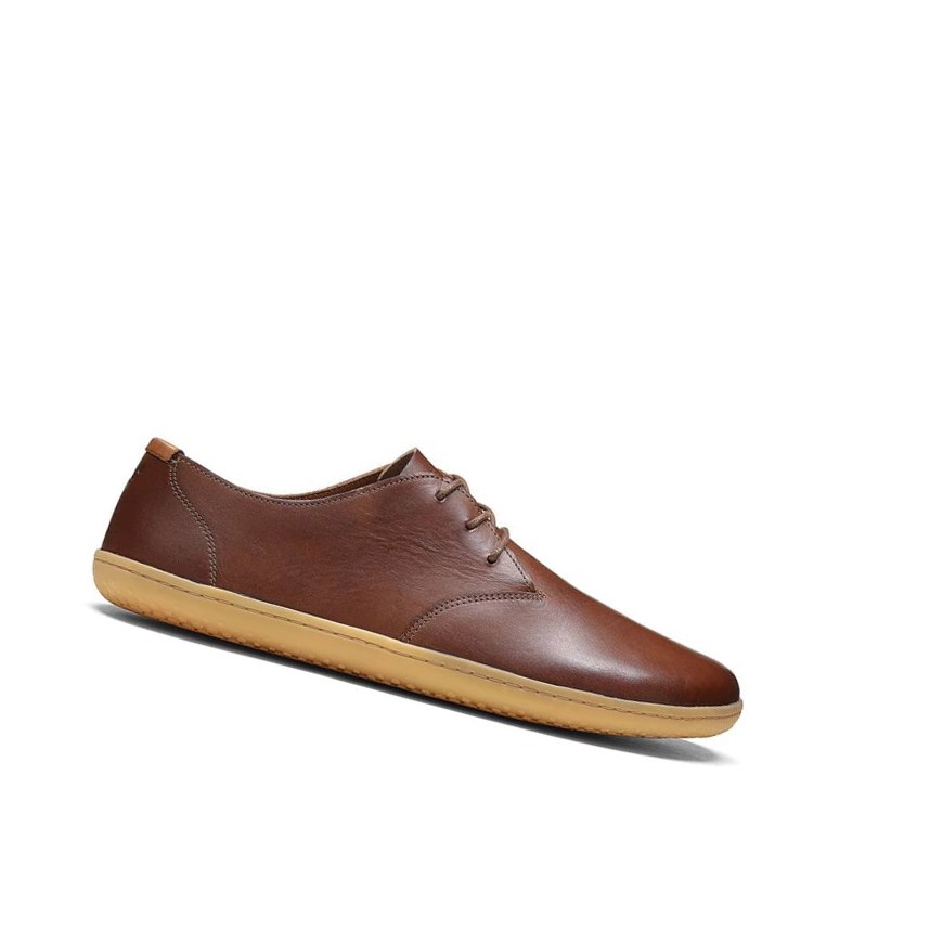 Zapatos con Cordones Vivobarefoot Ra Lux Hombre Marrom | 841702KQT