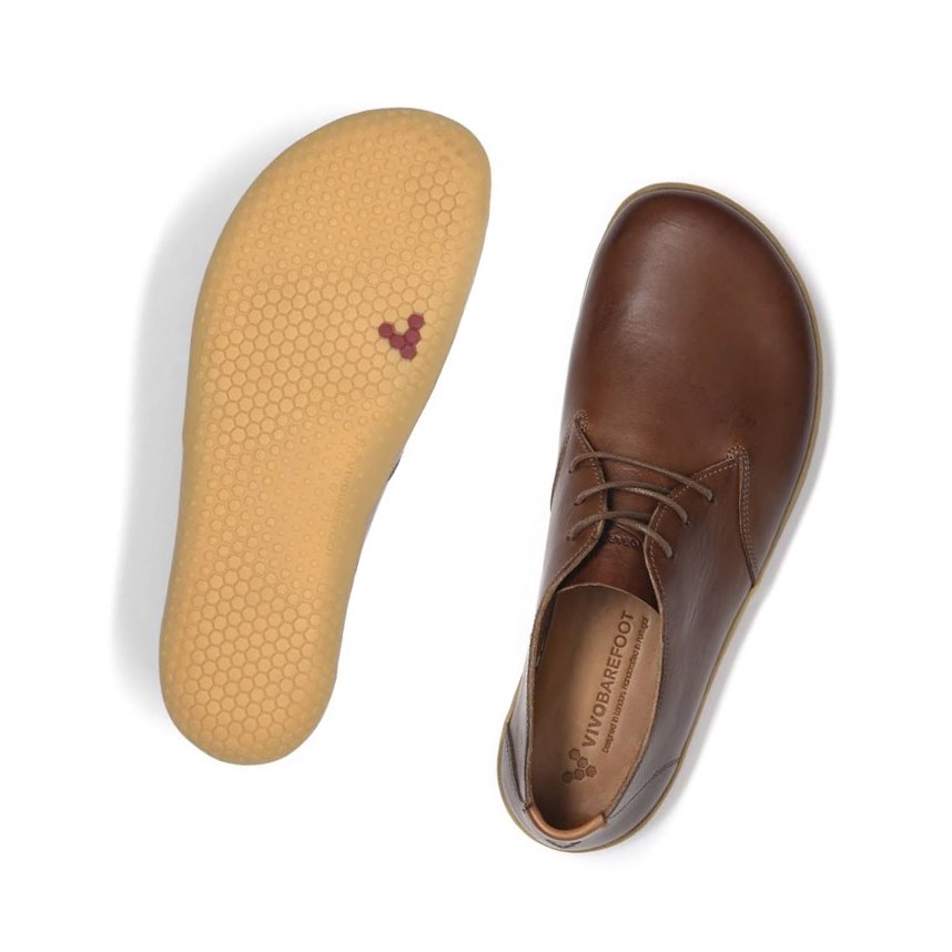 Zapatos con Cordones Vivobarefoot Ra Lux Hombre Marrom | 841702KQT